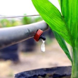 Đầu nhỏ giọt bù áp chống rò rỉ PCJ Dripper