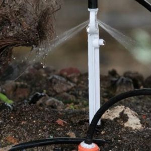 Béc tưới phun tại gốc Spray Stake